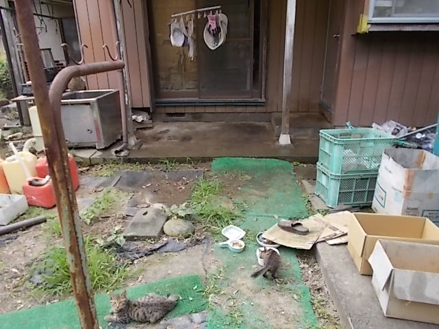 母屋の降りっと