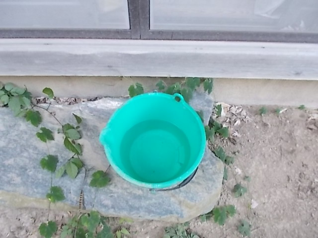 バケツに水を入れておく