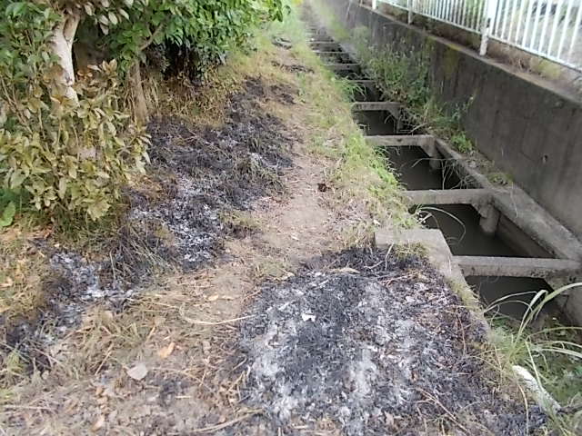 家の前の用水路の所の草を燃やした