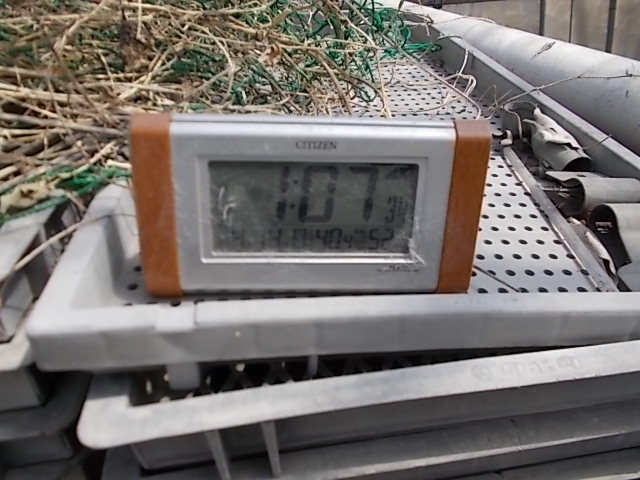 温度計付時計
