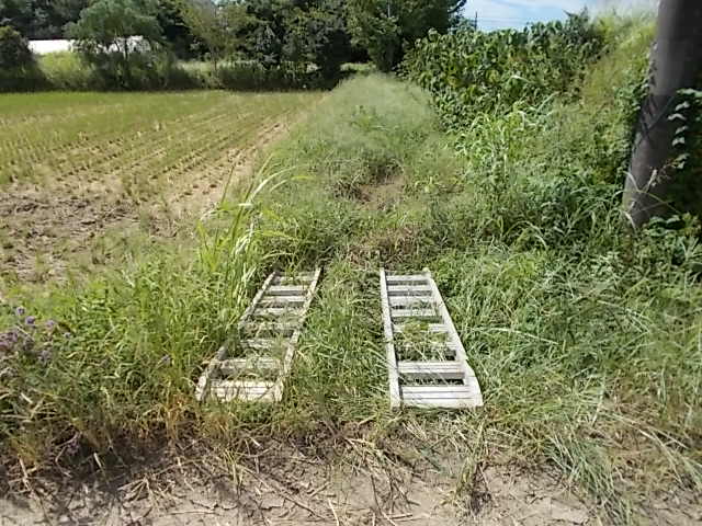 大里横の休耕地