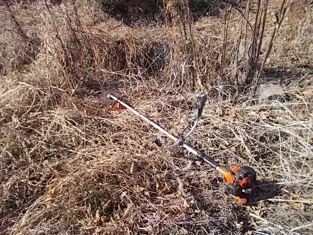 大里横の用水路縁を草刈り機