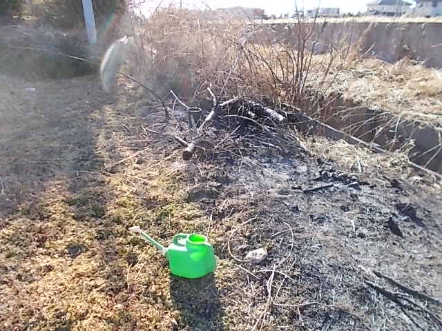 大里横の畦の草燃やし終了