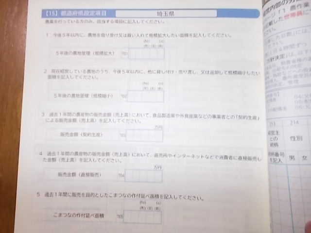 調査書類15