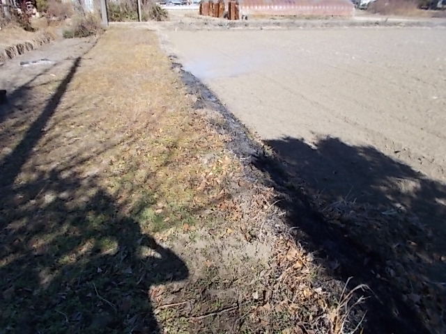 大里横の畦の草燃やし