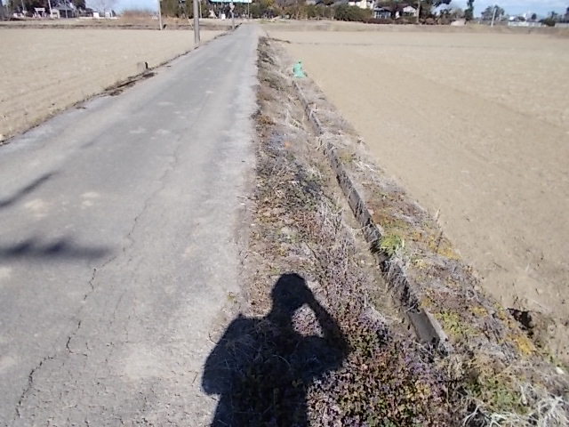 三段堀の道側だけ畦の草燃やし終了